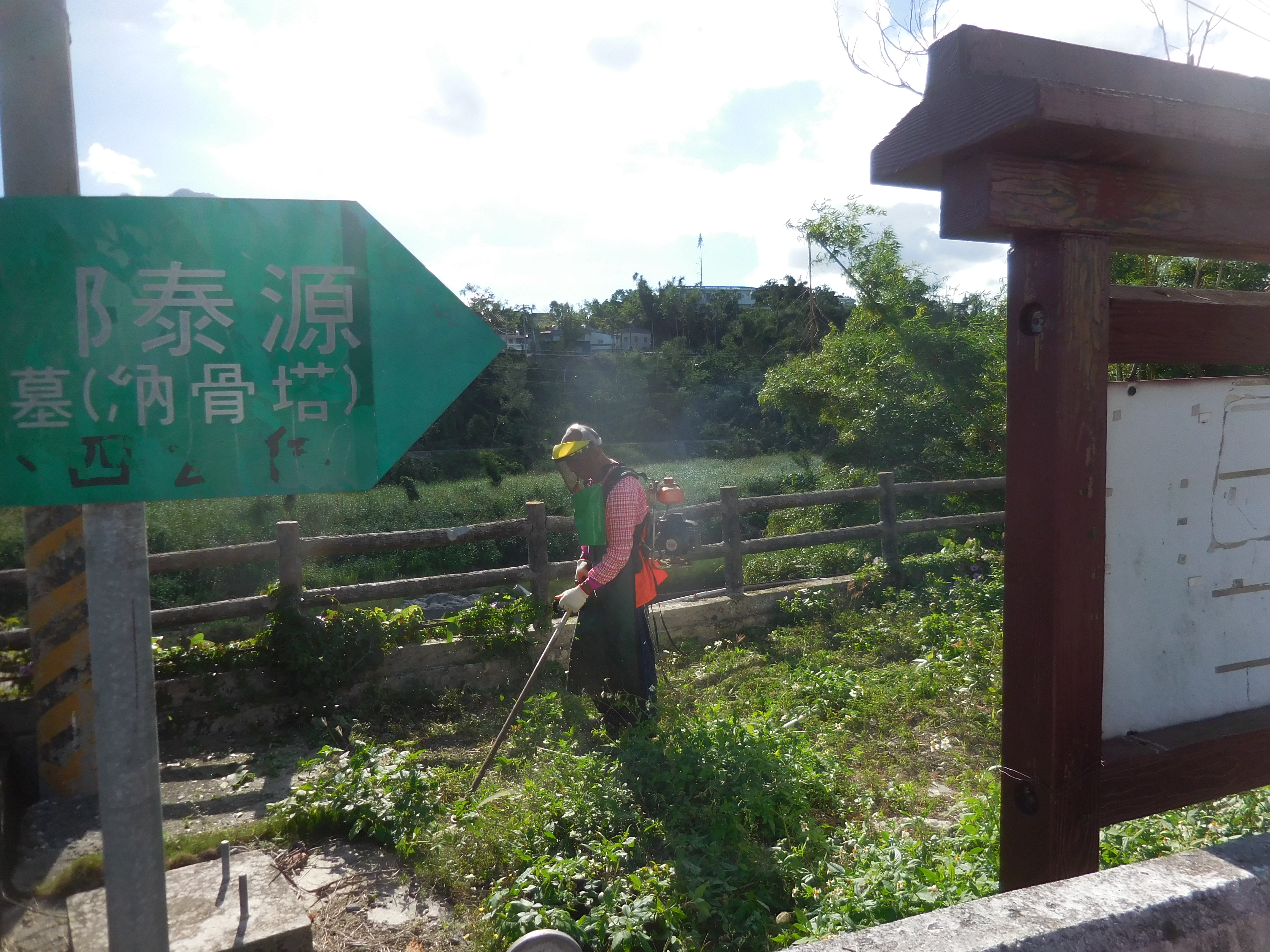 DSCN6501